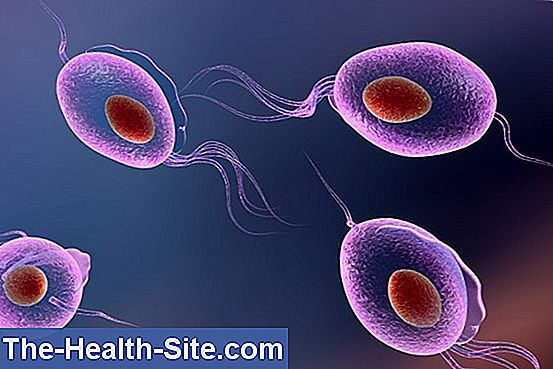 Spolno prenosive bolesti i infekcije