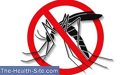 Ελονοσία - Συμπτώματα