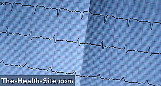 Metoprololi: Vaikutus, Käyttöaiheet, Sivuvaikutukset 💊 Tieteellinen ...
