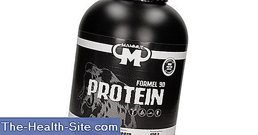 Protein Dijeta